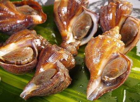 海螺的營養價值與食療功效