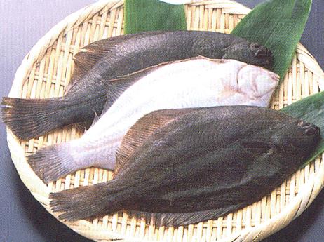 鴉片魚的營養價值與食療功效