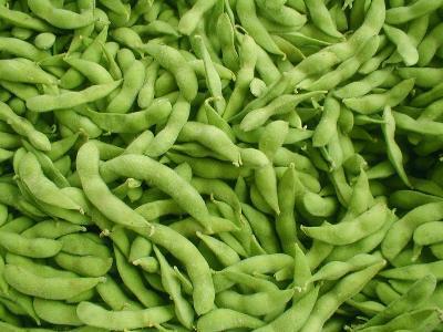 毛豆的营养价值与功效