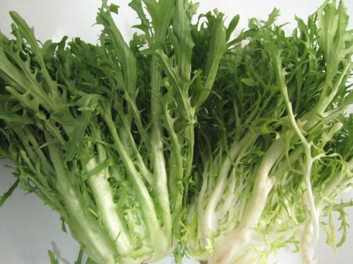 苦菊的營養價值與功效