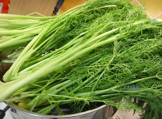小茴香的功效與作用 營養價值與食用注意事項