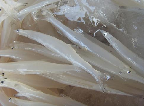 銀魚的營養價值、功效與食用指南