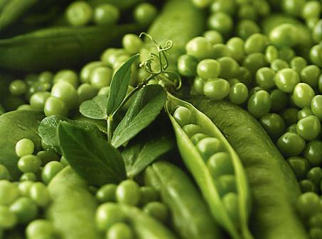 吃青豆有什麼好處？青豆的功效、營養價值與適用人群