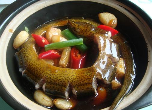 吃黃鳝魚的好處｜黃鳝營養價值、功效及適用人群全解析