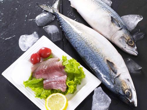 什麼人適合吃鯖魚?鯖魚營養價值與功效全解析