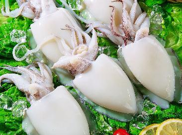 吃墨魚有什麼好處?營養價值與功效全解析