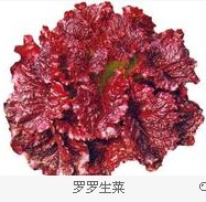 吃生菜有什么功效？生菜的食疗作用
