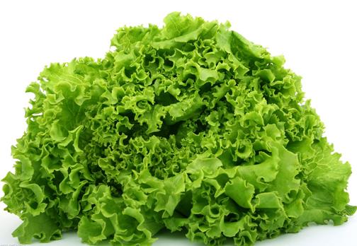 吃生菜有什么好处？生菜的營養價值及功效