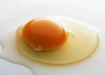 雞蛋營養成分全面分析：理想的天然營養庫