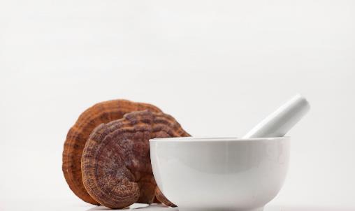 灵芝不能和什么同吃？食用禁忌与注意事项