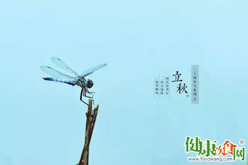 立秋「熱情」不減 養生防暑防疫不可少