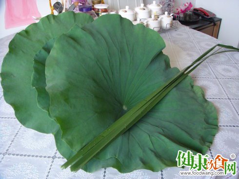 夏天吃什么好？荷叶入肴飘清香解暑