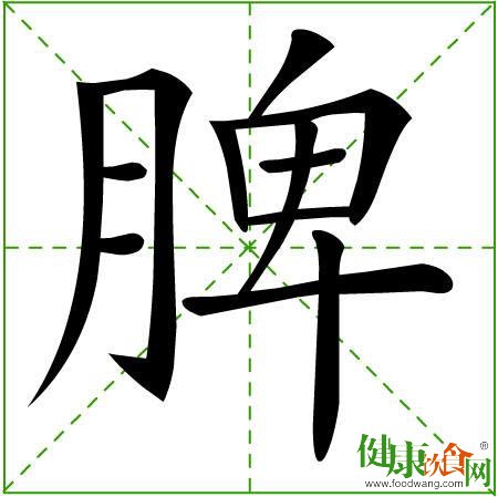 夏季養生先養脾:四法調理脾胃
