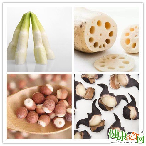 夏季必吃的「水中四寶」:茭白、蓮藕、芡實、菱角,幫你安然度夏