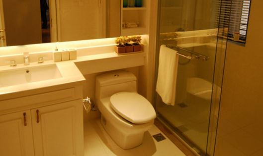 直冲式 vs 虹吸式马桶性能对比:哪种更省水、更不易堵?