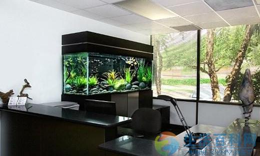 魚缸擺放方位指南:風水實用建議