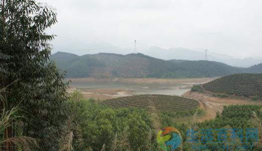 陰宅風水選擇指南:如何尋找風水寶地