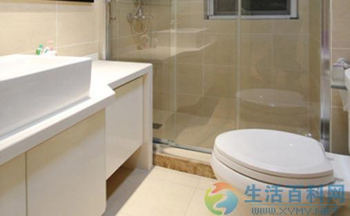蹲便器與坐便器哪個好？比較優缺點及選購建議