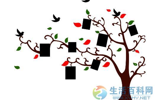 相片牆搭配指南：如何打造最合适的家居照片墙