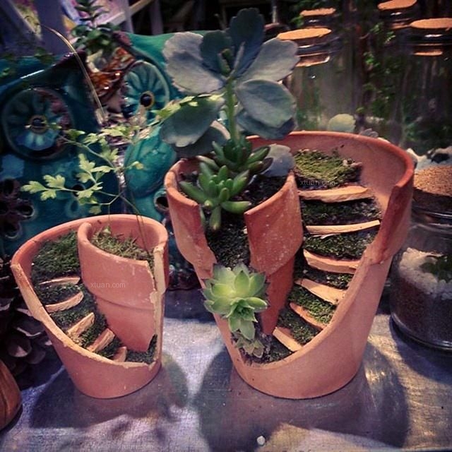 家居裝潢新靈感——破舊花盆的春節變身術