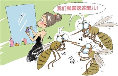 有效防治蚊虫叮咬！三種方法輕鬆搞定