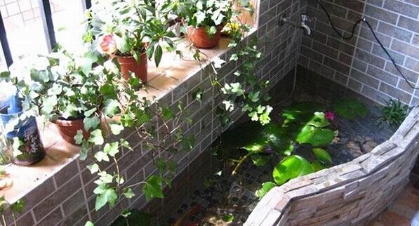 陽台魚池風水 陽台養魚的風水原則與注意事項