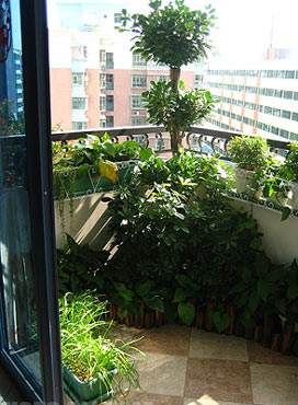 清新美眉的78平米私密小屋家居美图