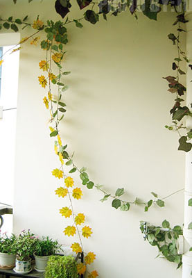 清新美眉的78平米私密小屋家居美图