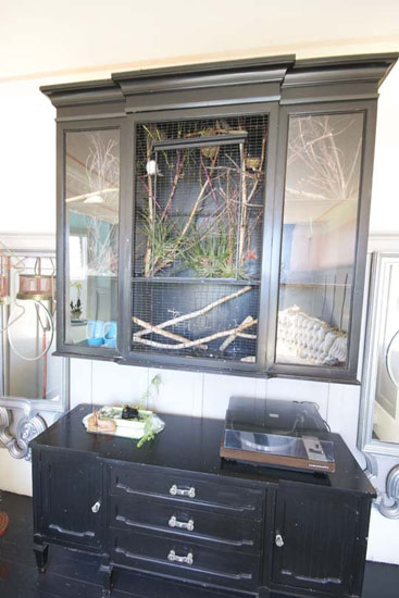 三藩市75㎡清新田園風 格「 園林」之家