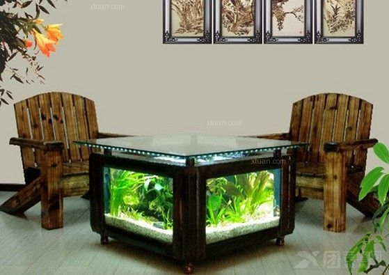 魚缸擺設之道:風水催財與實用指南