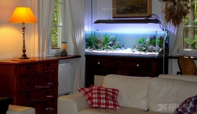 魚缸擺設之道:風水催財與實用指南
