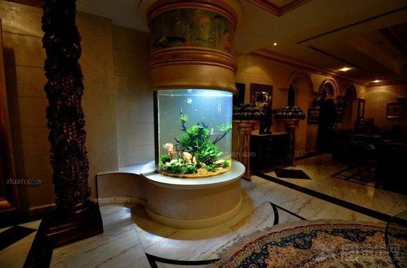 魚缸擺設之道:風水催財與實用指南