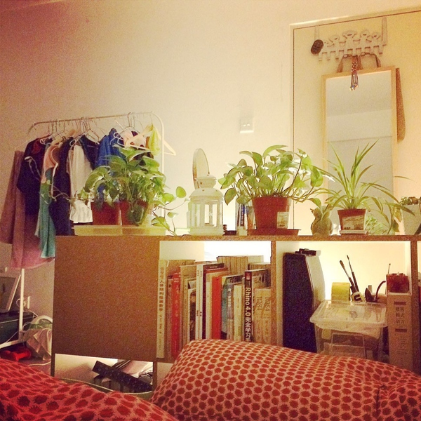 怎麼花最少的錢提升出租屋的格調?