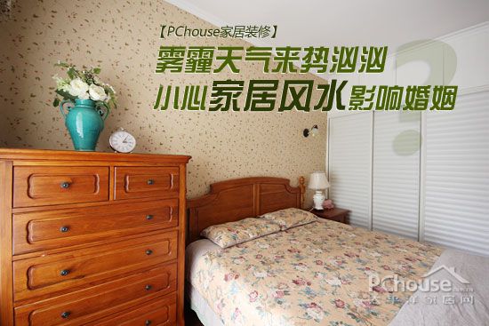 巧用植物改善室内空气:除苯、除甲醛与除氨推荐