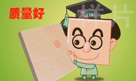 三步成「磚家」:磁磚選購完全指南