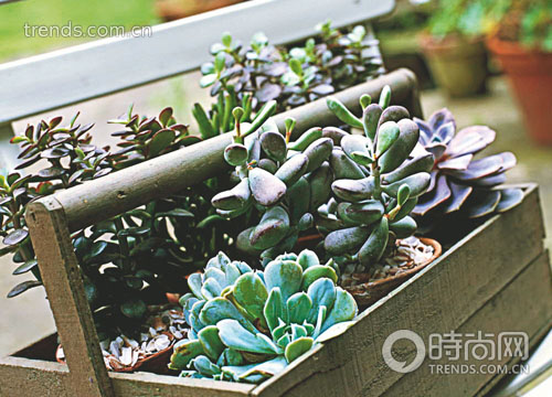 家居新奇小物裝飾：藝術與實用並存的點綴