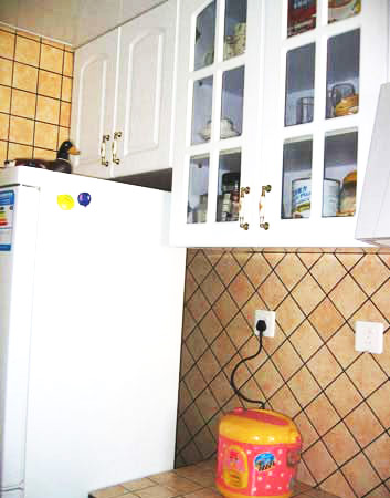 48平待嫁小屋的裝修魔法:打造夢幻婚房