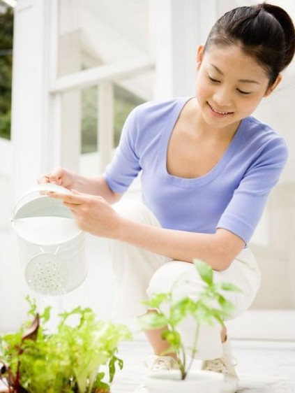 家居植物摆放风水 助你财运亨通事业宏图