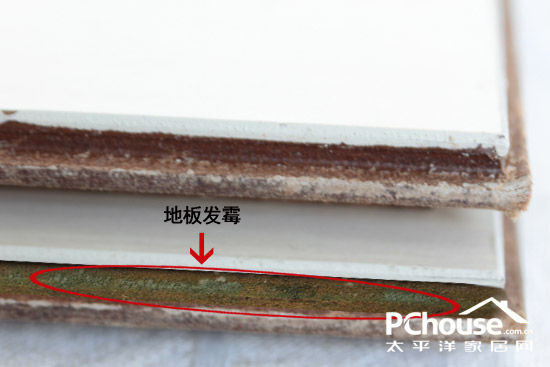 家居防潮除濕辦法｜回南天防護指南