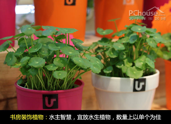 書房風水布置指南:文昌位與家具布局提升新年運勢