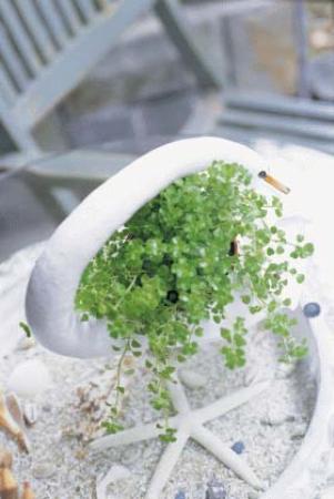 家居裝修之陽台篇 百變陽台裝修效果圖