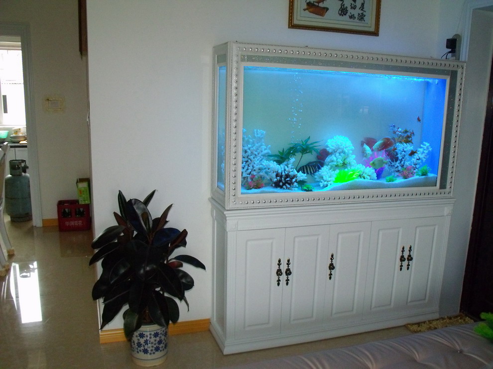 進門玄關魚缸擺放位置風水