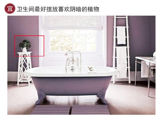 衛生間裝修風水宜忌:植物、用具、方位全解析