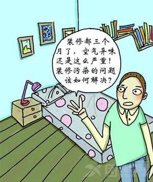 家庭裝修污染處理指南:淨化方法與綠色植物建議