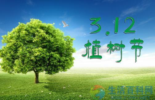 植樹節是幾月幾日？台灣植樹節由來與意義解析