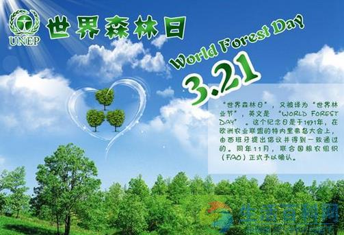 3月21日世界森林日:起源、意義與全球森林資源現狀