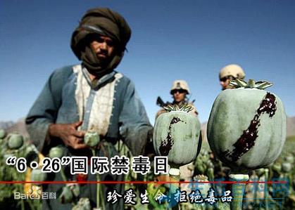6月26日國際禁毒日是什麼節日？日期、起源與主題