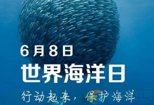 世界海洋日是6月8日:日期由來與節日意義