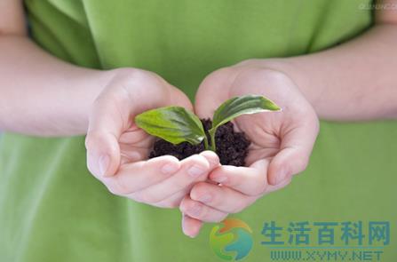 4月10日非洲環境保護日:日期、由來與意義