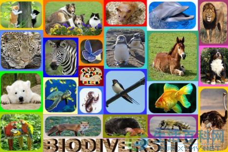 5月22日國際生物多樣性日：由來、日期變更與意義
